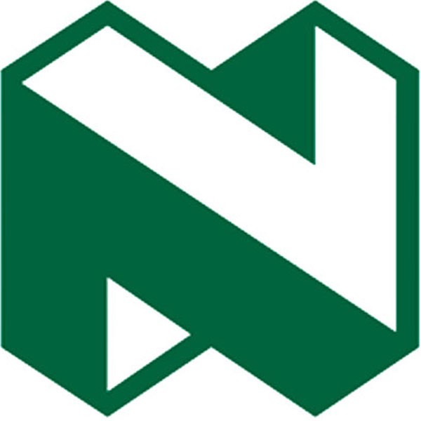 Nedbank Group  - Nedbank Group 