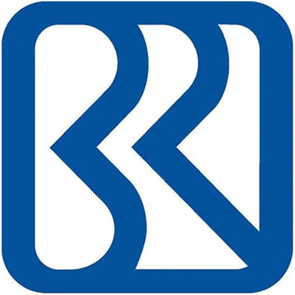 BRI BANK - PT Bank Rakyat Indonesia