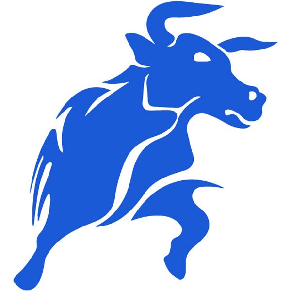  Black Bull Group Limited