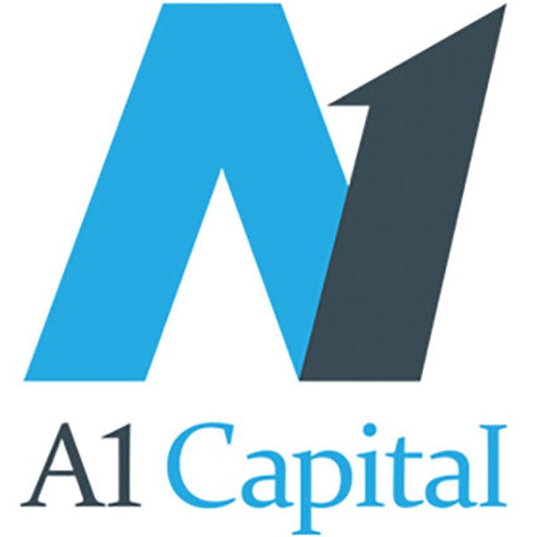 A1 Capital - A1 Capital Yatırım Menkul Degerler A.S.