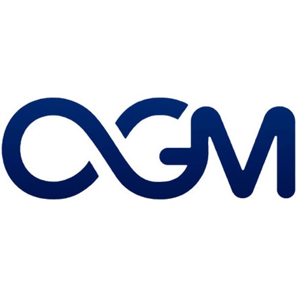 OGM - One Global Market Limited