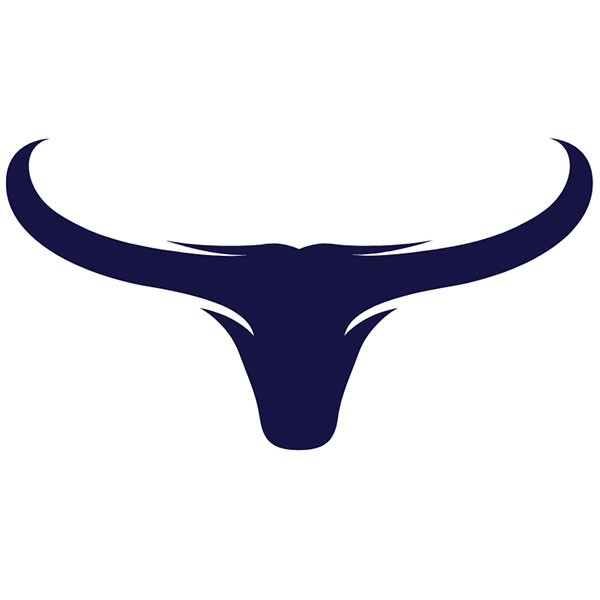 LonghornFX - Longhorn LLC