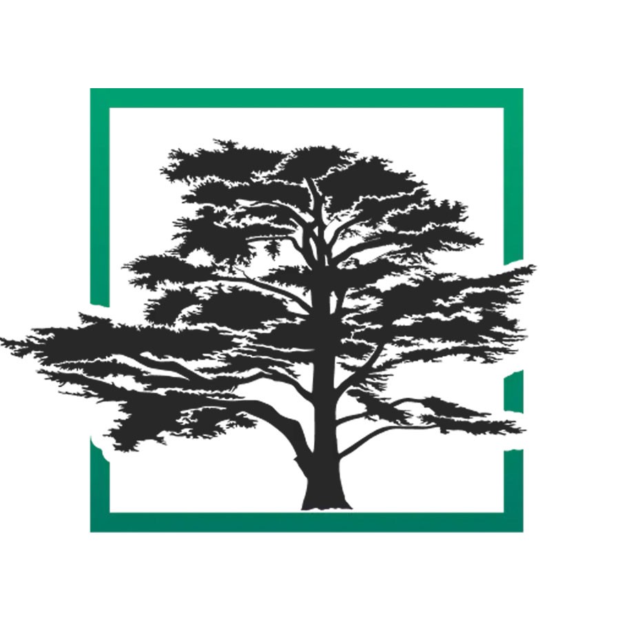 CedarFX - Cedar LLC