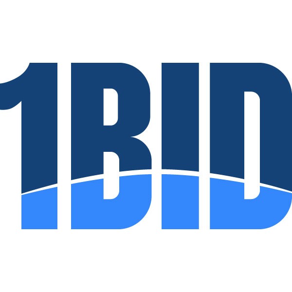 ONEBID - ONEBID ASSET LLC